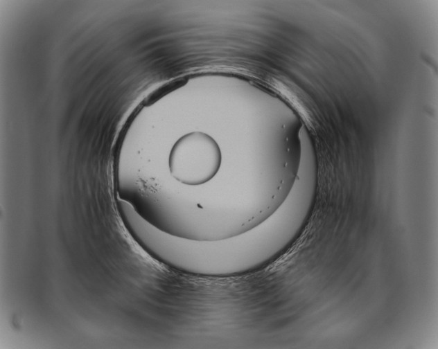 X0000096481092200802211208