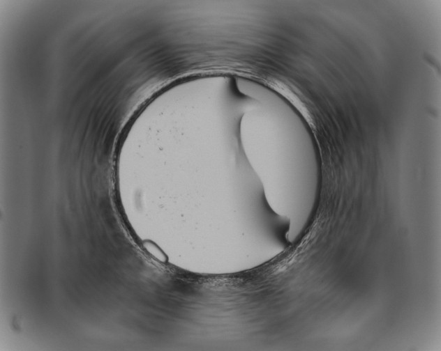 X0000096481093200802211208