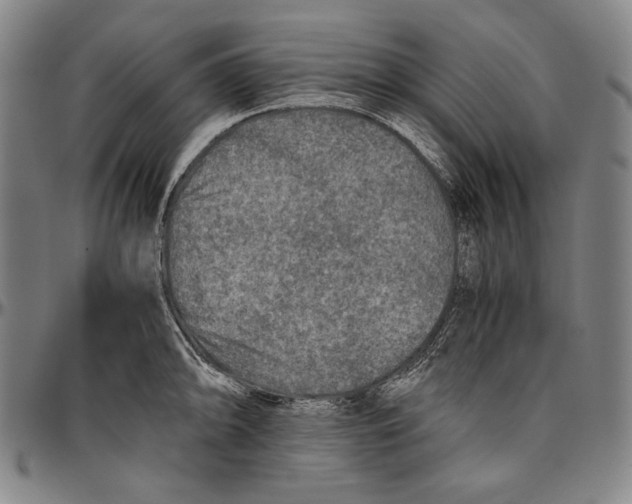X0000096481094200802211208