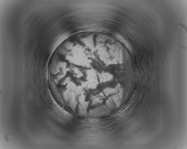 X0000096481095200802211208