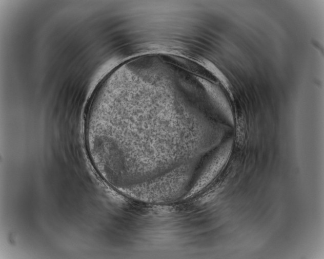 X0000096481096200802211208