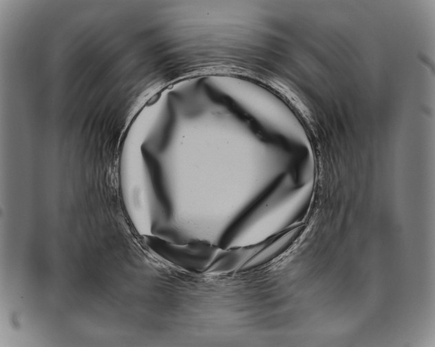 X0000096481097200802211208
