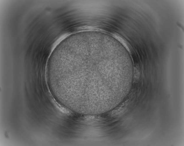 X0000096481098200802211208