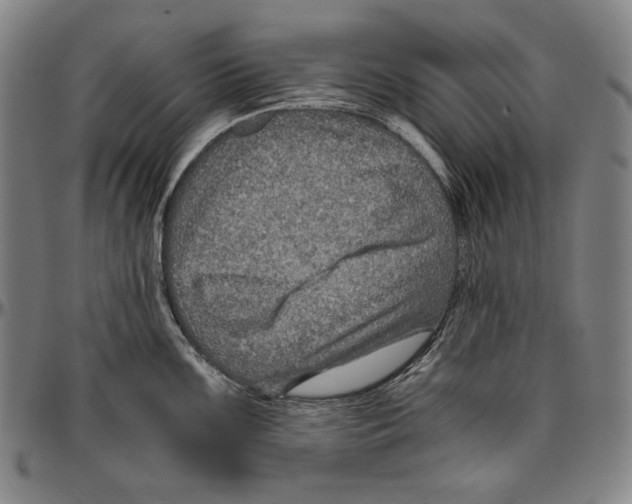 X0000096481099200802211208