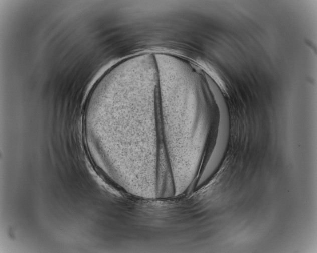 X0000096481100200802211208