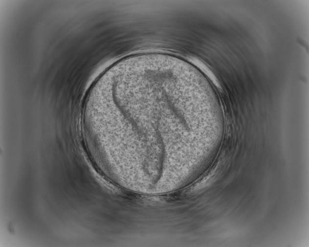 X0000096481101200802211208