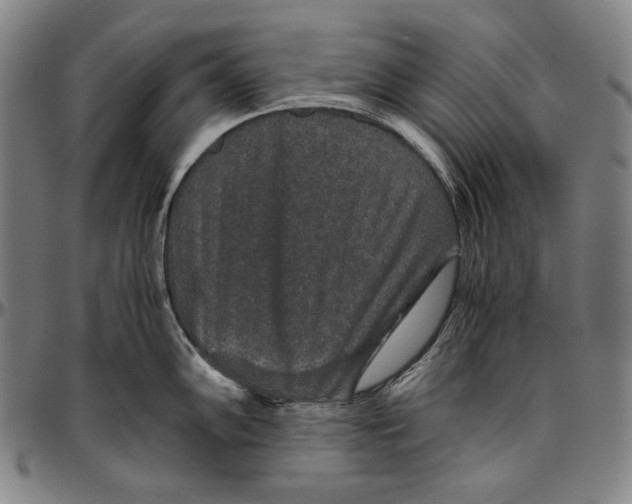 X0000096481102200802211208