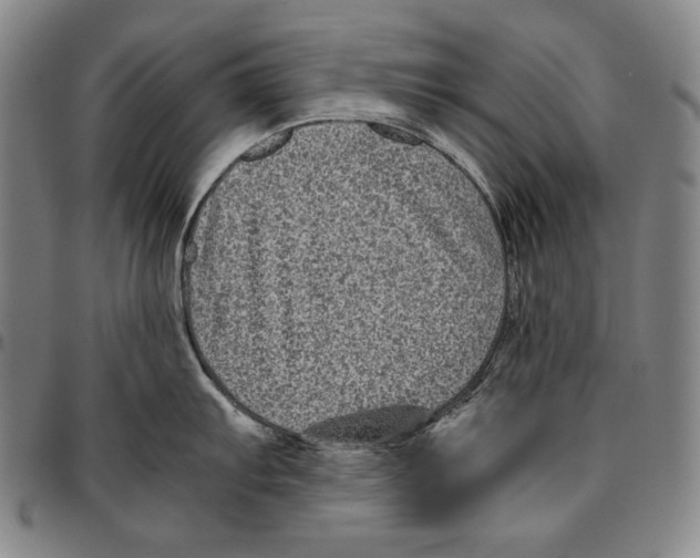 X0000096481103200802211208