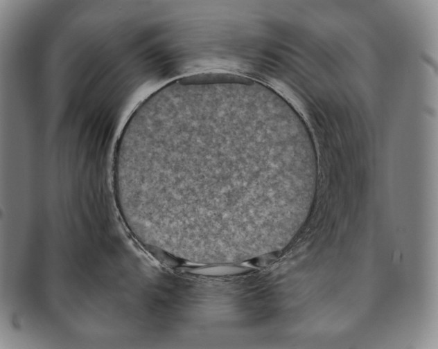 X0000096481104200802211208