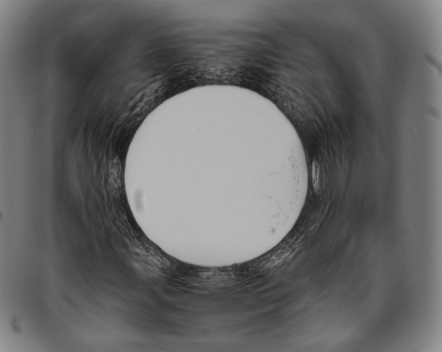 X0000096481107200802211207
