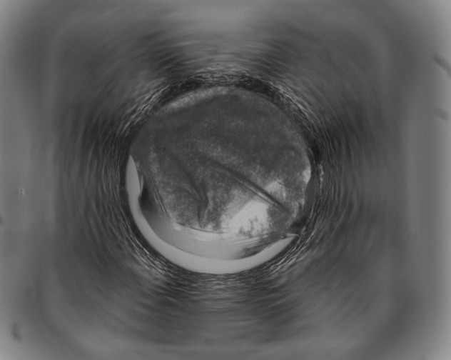 X0000096481108200802211207