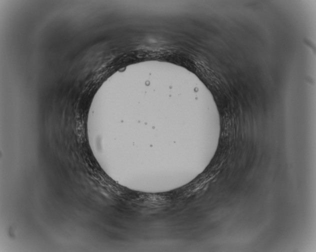 X0000096481109200802211208