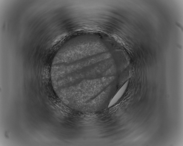 X0000096481110200802211208