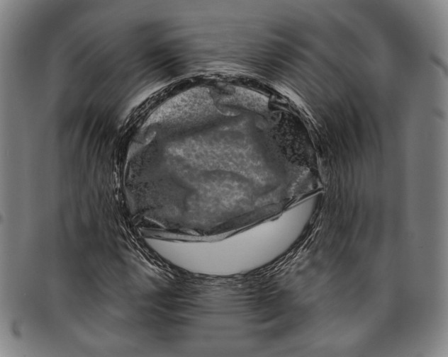 X0000096481112200802211208