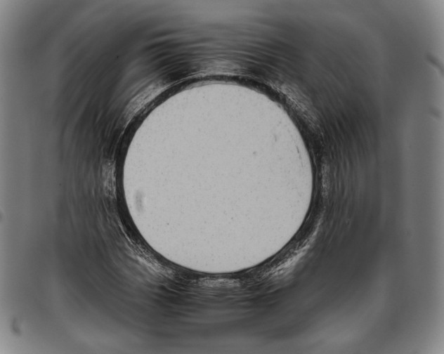 X0000096481113200802211208