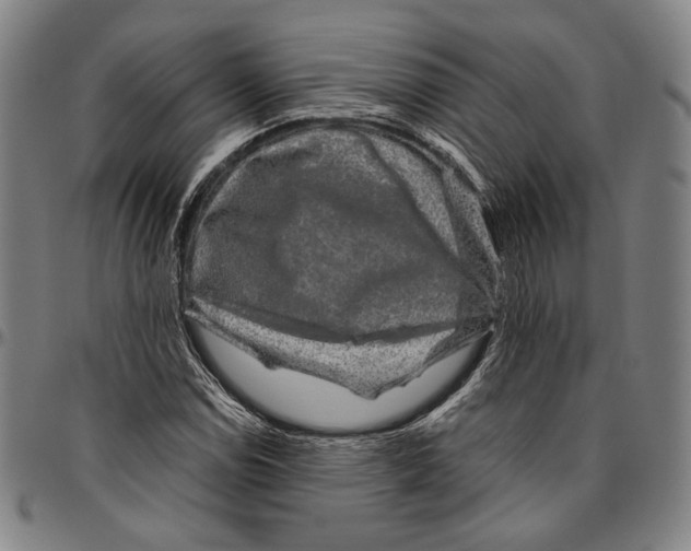 X0000096481114200802211208