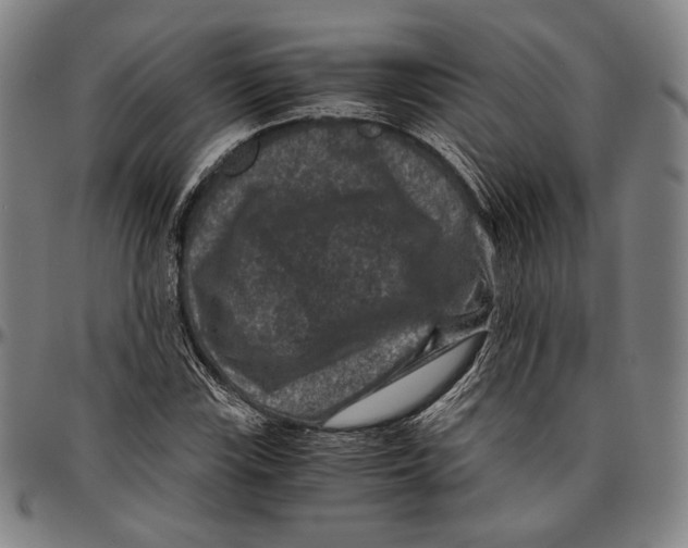 X0000096481115200802211208