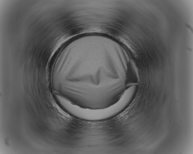 X0000096481116200802211208