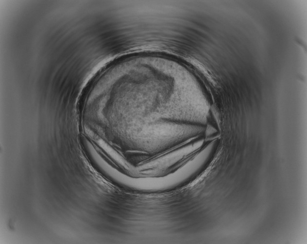 X0000096481118200802211208