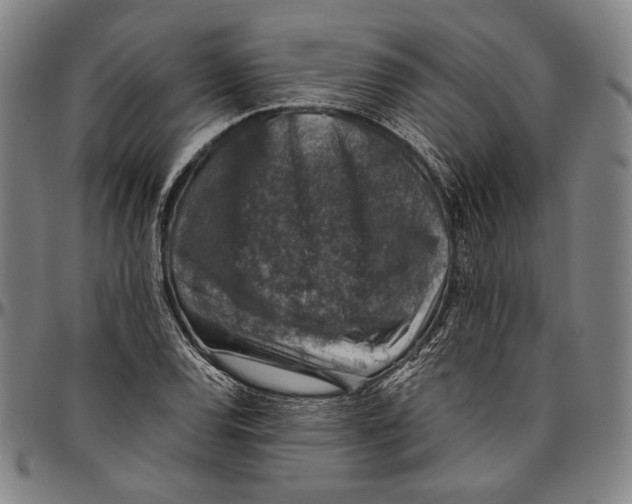 X0000096481120200802211208
