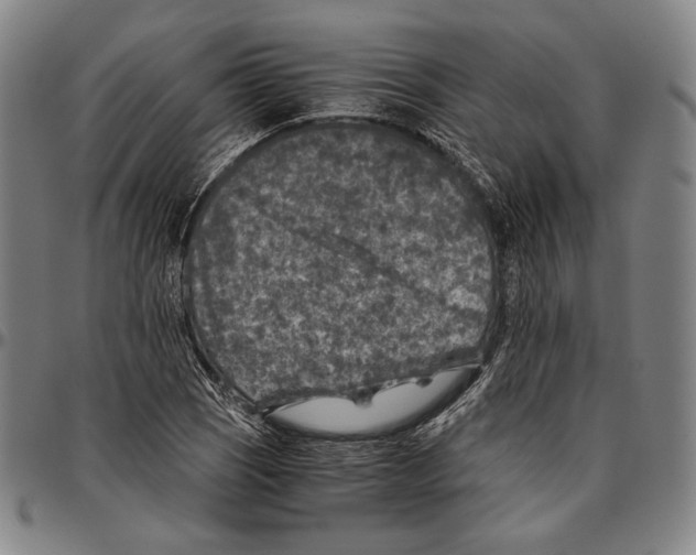 X0000096481121200802211208