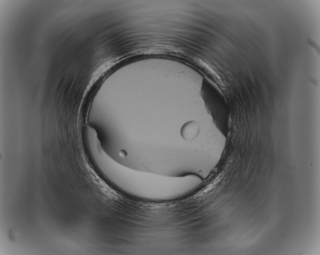 X0000096481122200802211208