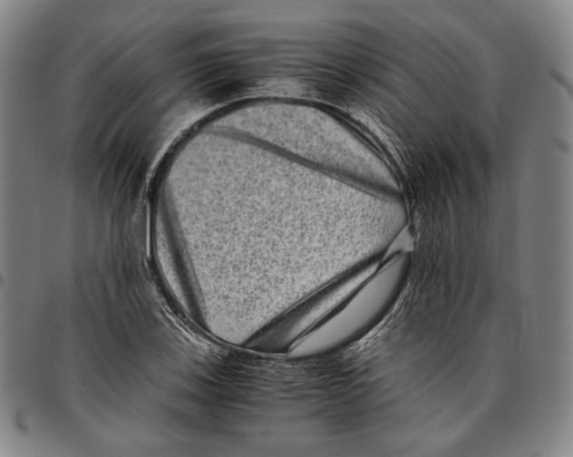 X0000096481123200802211208