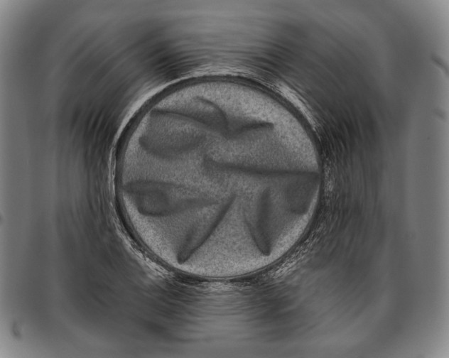 X0000096481124200802211208