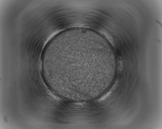 X0000096481125200802211208