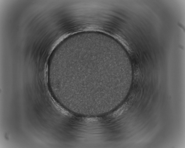 X0000096481126200802211208