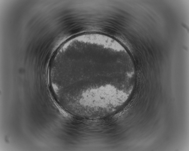 X0000096481127200802211208