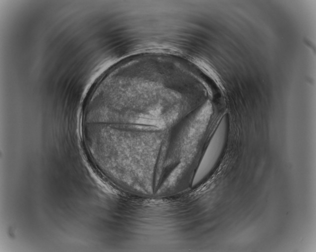 X0000096481128200802211208
