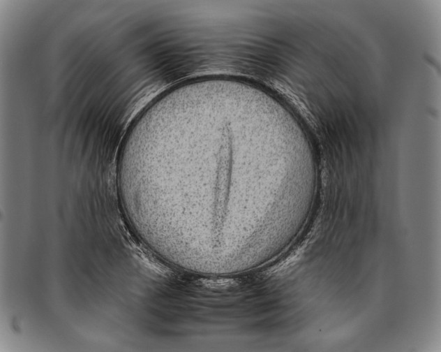 X0000096481129200802211208
