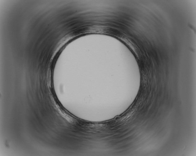 X0000096481131200802211208