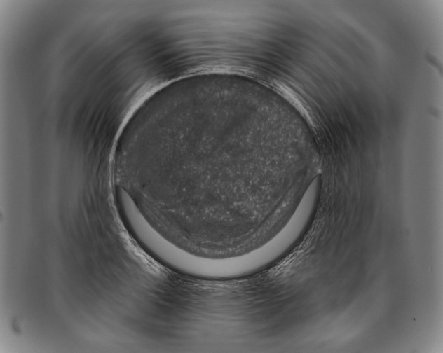 X0000096481132200802211208
