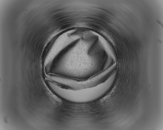 X0000096481133200802211208
