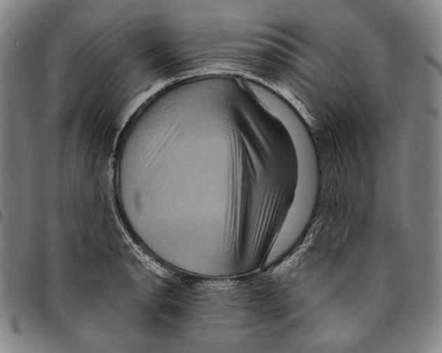 X0000096481134200802211208