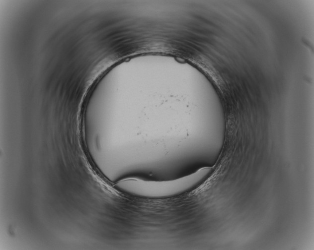 X0000096481135200802211208
