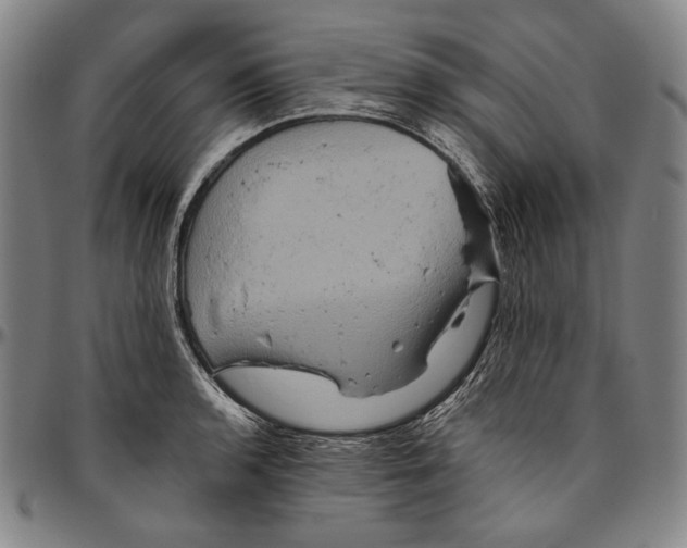 X0000096481136200802211208