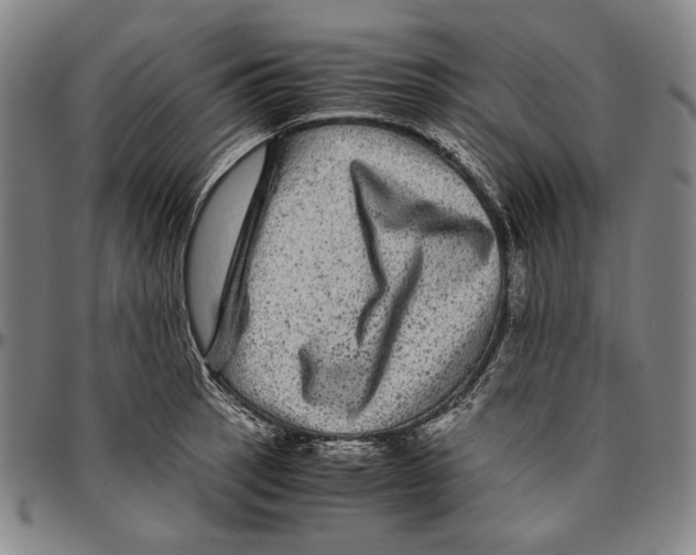 X0000096481137200802211208