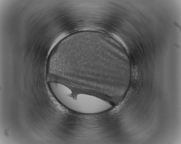 X0000096481138200802211208