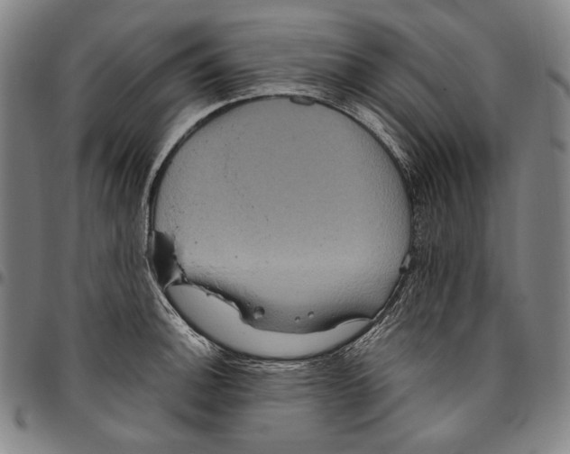 X0000096481140200802211208