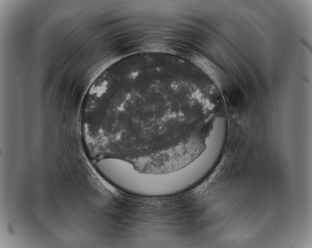 X0000096481141200802211208