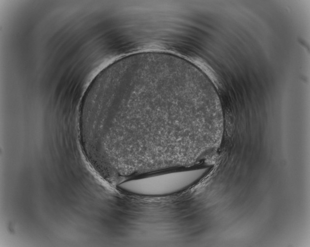 X0000096481142200802211208