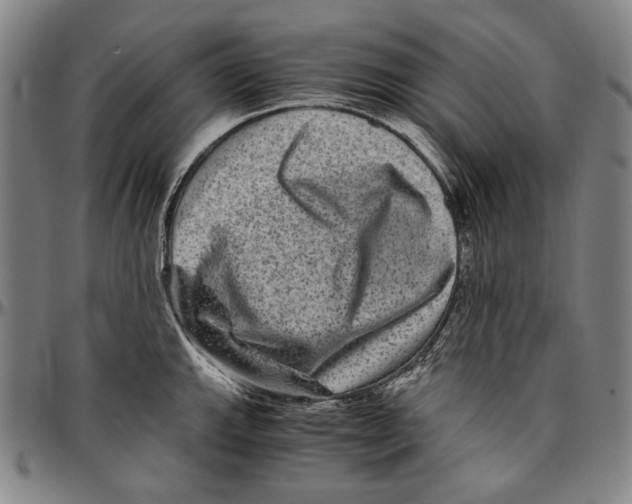 X0000096481143200802211208