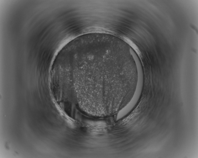 X0000096481144200802211208