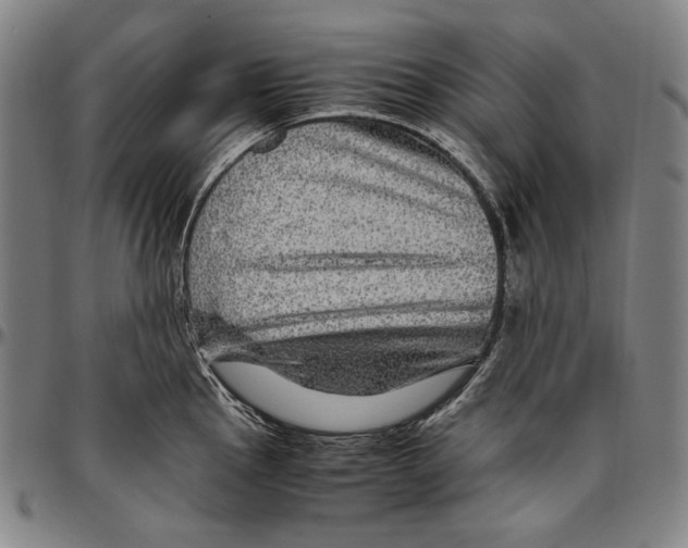 X0000096481145200802211208