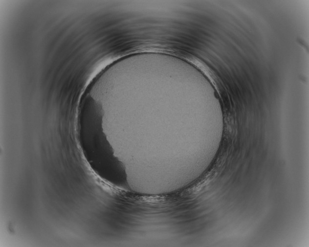 X0000096481147200802211208
