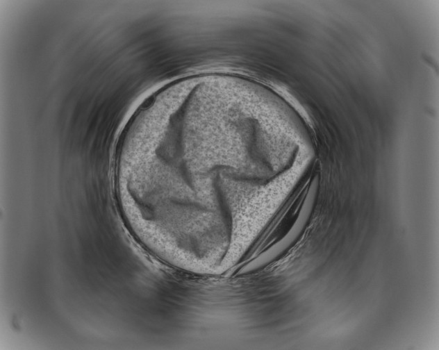 X0000096481148200802211208