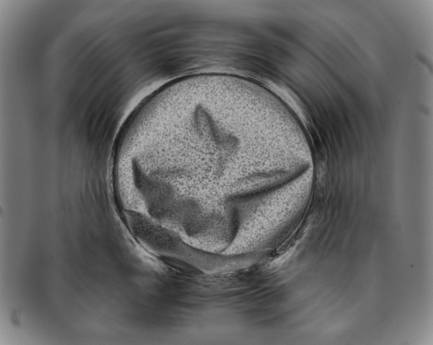 X0000096481149200802211208